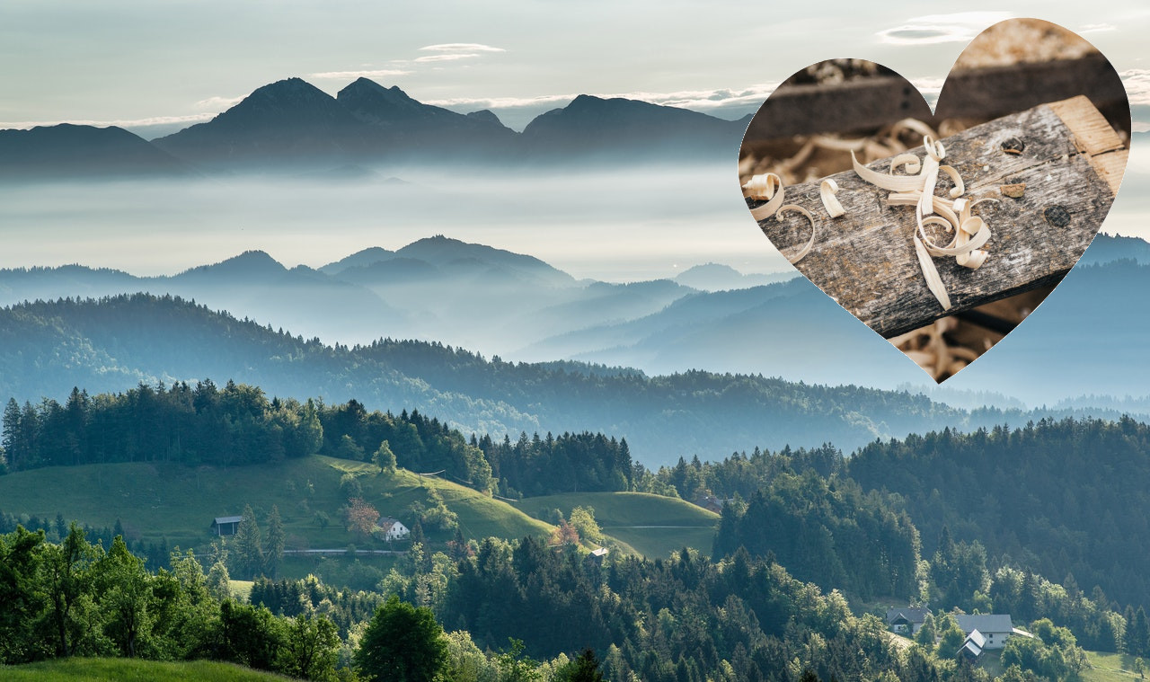 Slovenian forest